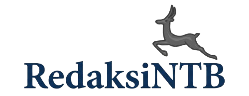 redaksintb.com