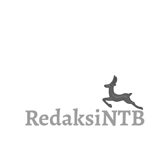 redaksintb.com