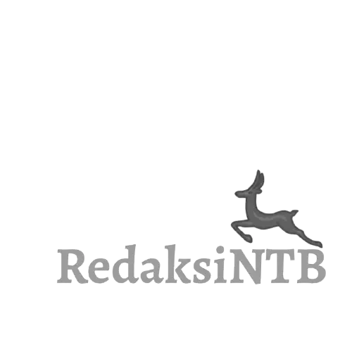 redaksintb.com